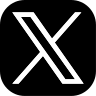 icône x